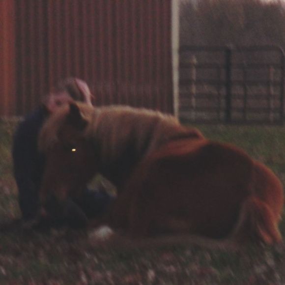 Meet your Posher, Kirsten - Picture 1 of 1